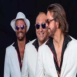 Photo-picture-image-bee-gees-tribute-band-cover-band-250 → Besser Entertainment photo-picture-image-Best Florida Tribute Bands-Florida-bee-gees-tribute-band-cover-band