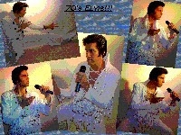 Elvis Presley Look Alike Lookalike Impersonator | Besser Entertainment