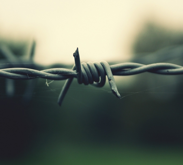web, sandbox, wallpaper, background, spider, barbed, images, 1920x1080,